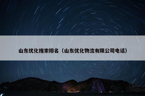 山东优化搜索排名（山东优化物流有限公司电话）