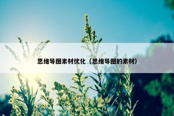 思维导图素材优化（思维导图的素材）