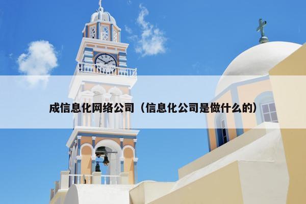 成信息化网络公司（信息化公司是做什么的）