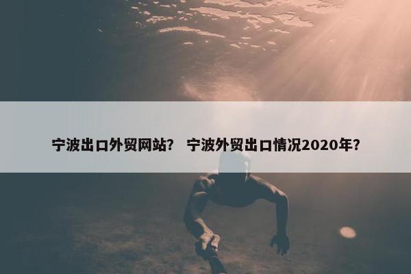 宁波出口外贸网站？ 宁波外贸出口情况2020年？