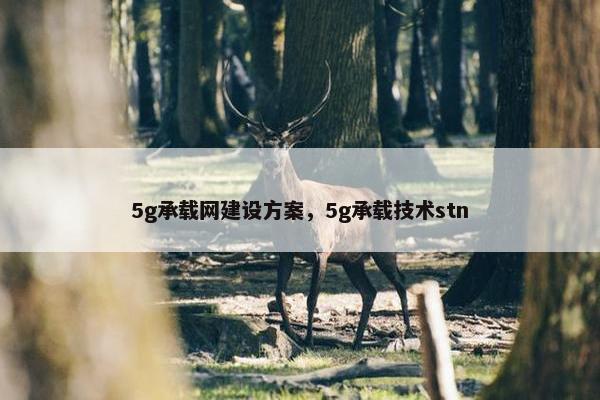 5g承载网建设方案，5g承载技术stn