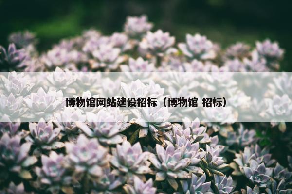 博物馆网站建设招标（博物馆 招标）