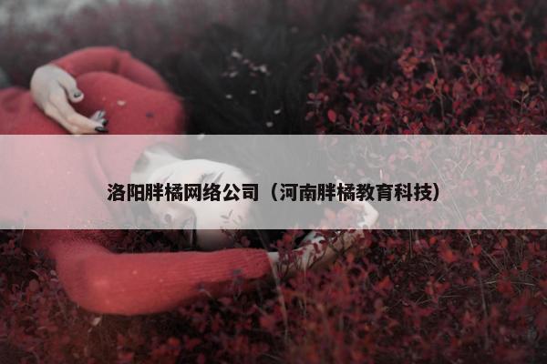 洛阳胖橘网络公司（河南胖橘教育科技）