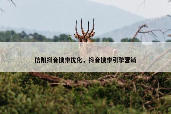 信阳抖音搜索优化，抖音搜索引擎营销