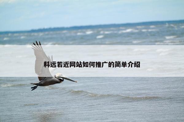 料远若近网站如何推广的简单介绍