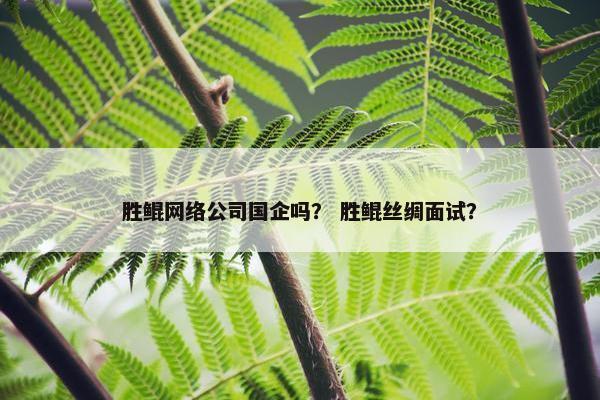 胜鲲网络公司国企吗？ 胜鲲丝绸面试？