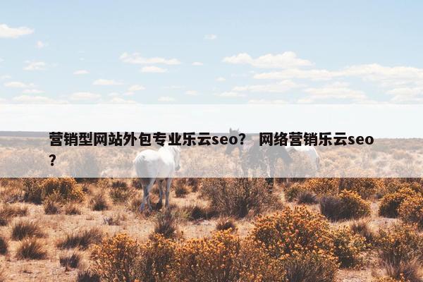 营销型网站外包专业乐云seo？ 网络营销乐云seo？