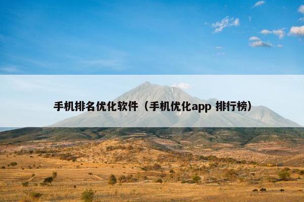 手机排名优化软件（手机优化app 排行榜）