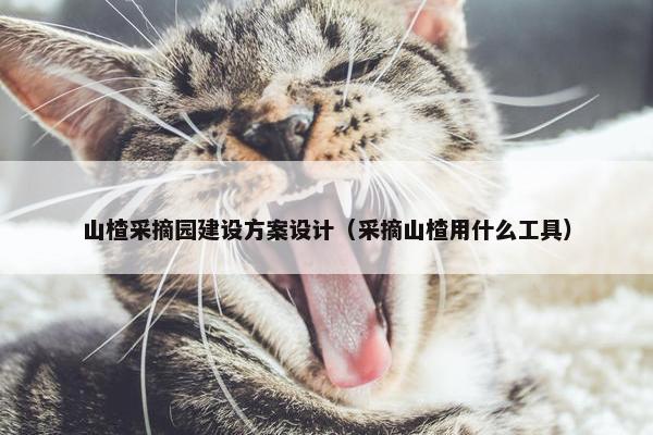 山楂采摘园建设方案设计（采摘山楂用什么工具）