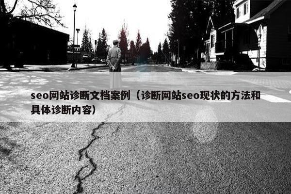 seo网站诊断文档案例（诊断网站seo现状的方法和具体诊断内容）