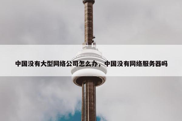 中国没有大型网络公司怎么办，中国没有网络服务器吗