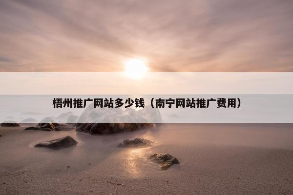梧州推广网站多少钱（南宁网站推广费用）