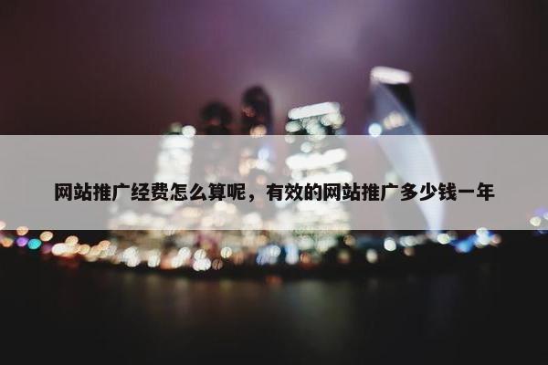 网站推广经费怎么算呢，有效的网站推广多少钱一年