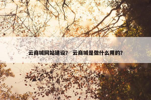 云商城网站建设？ 云商城是做什么用的？