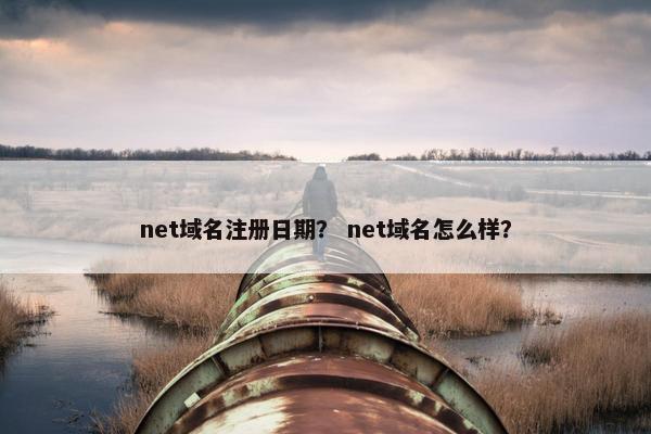 net域名注册日期？ net域名怎么样？