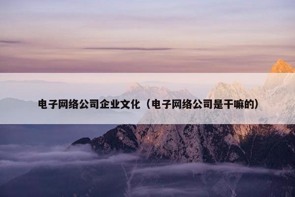 电子网络公司企业文化（电子网络公司是干嘛的）