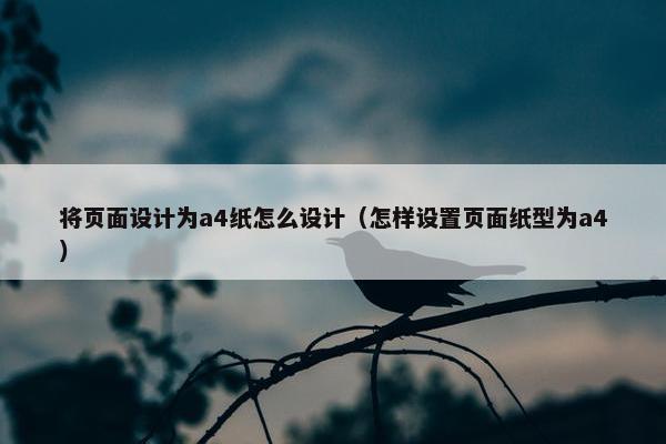 将页面设计为a4纸怎么设计（怎样设置页面纸型为a4）