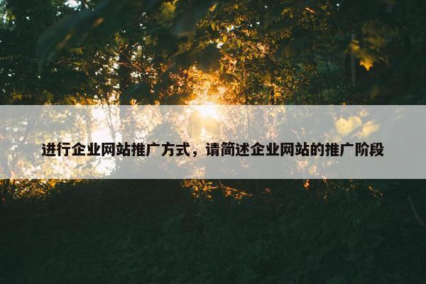 进行企业网站推广方式，请简述企业网站的推广阶段
