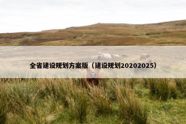 全省建设规划方案版（建设规划20202025）
