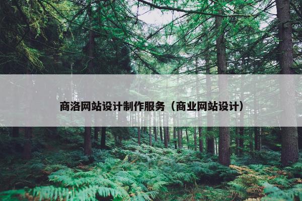 商洛网站设计制作服务（商业网站设计）