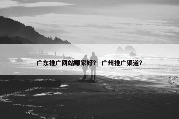 广东推广网站哪家好？ 广州推广渠道？