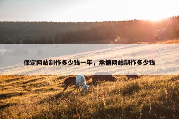 保定网站制作多少钱一年，承德网站制作多少钱