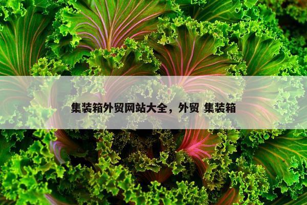 集装箱外贸网站大全，外贸 集装箱