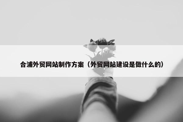 合浦外贸网站制作方案（外贸网站建设是做什么的）