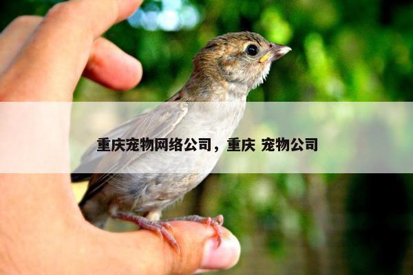 重庆宠物网络公司，重庆 宠物公司