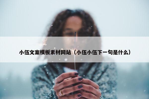 小伍文案模板素材网站（小伍小伍下一句是什么）