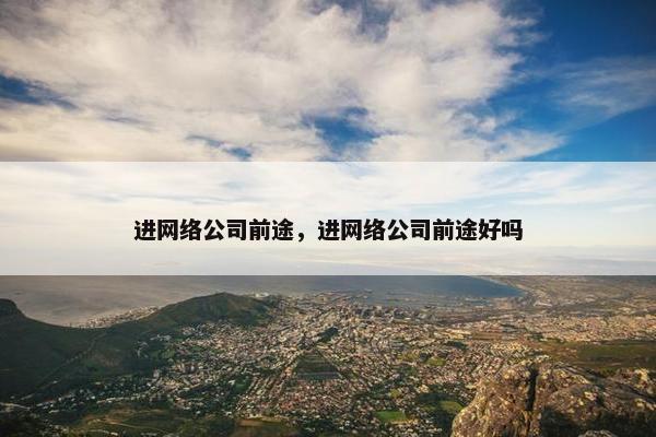 进网络公司前途，进网络公司前途好吗
