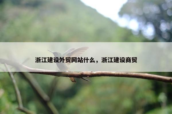浙江建设外贸网站什么，浙江建设商贸