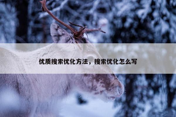 优质搜索优化方法，搜索优化怎么写