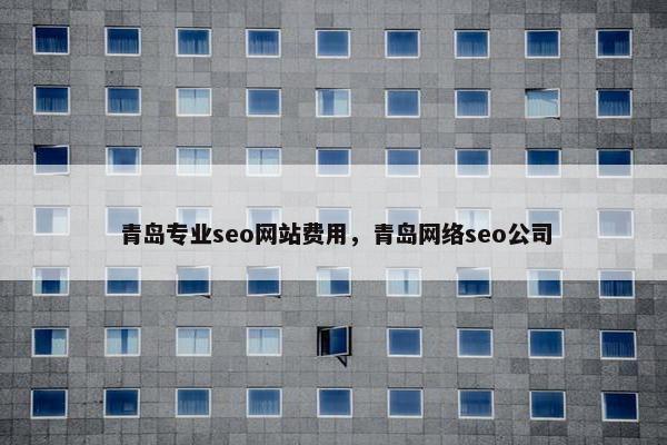 青岛专业seo网站费用，青岛网络seo公司