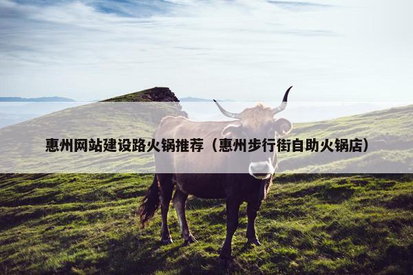 惠州网站建设路火锅推荐（惠州步行街自助火锅店）