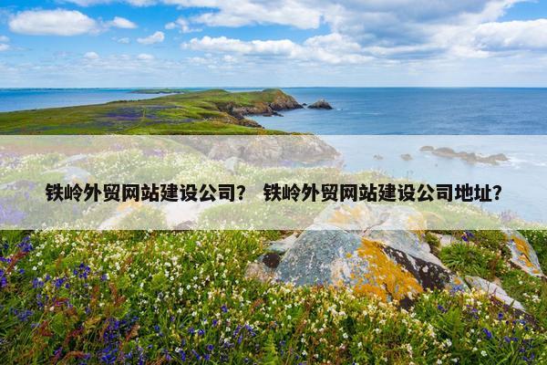 铁岭外贸网站建设公司？ 铁岭外贸网站建设公司地址？