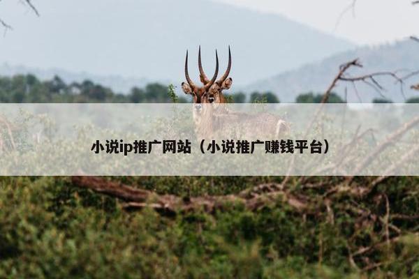 小说ip推广网站（小说推广赚钱平台）
