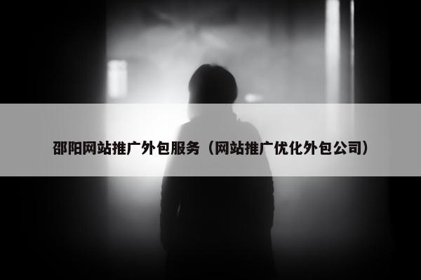 邵阳网站推广外包服务（网站推广优化外包公司）