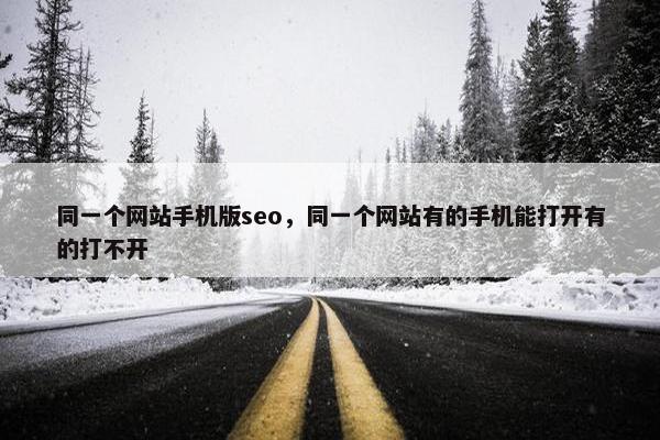 同一个网站手机版seo，同一个网站有的手机能打开有的打不开