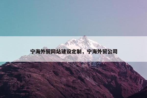 宁海外贸网站建设定制，宁海外贸公司
