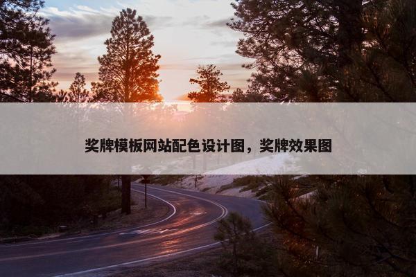 奖牌模板网站配色设计图，奖牌效果图