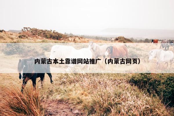 内蒙古本土靠谱网站推广（内蒙古网页）