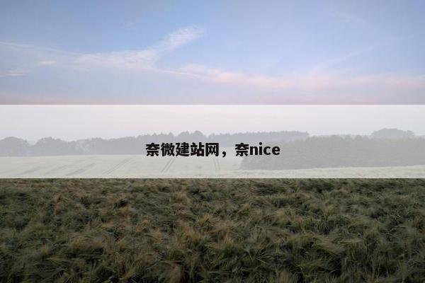 奈微建站网，奈nice