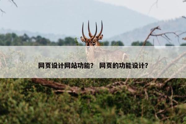 网页设计网站功能？ 网页的功能设计？