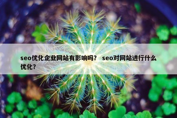 seo优化企业网站有影响吗？ seo对网站进行什么优化？