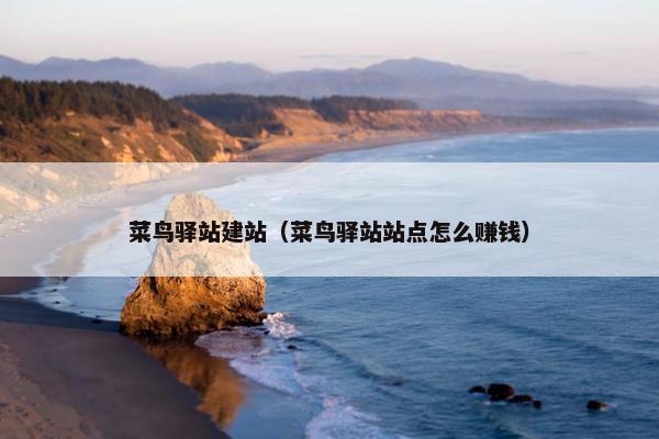 菜鸟驿站建站（菜鸟驿站站点怎么赚钱）