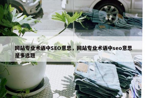 网站专业术语中SEO意思，网站专业术语中seo意思是多选题