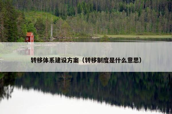 转移体系建设方案（转移制度是什么意思）