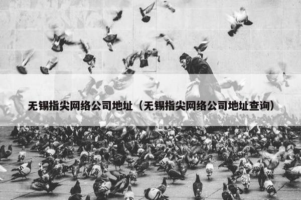 无锡指尖网络公司地址（无锡指尖网络公司地址查询）