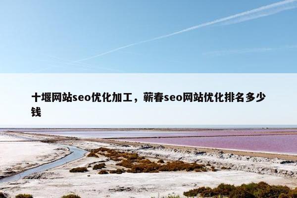 十堰网站seo优化加工，蕲春seo网站优化排名多少钱
